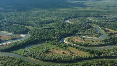 aerial view of winding river in forest