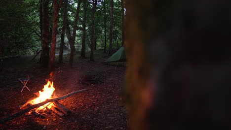 two tents at night in the woods with campfire burning, revealing dolly slider shot