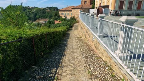 panoramic vineyard landscapes in cuneo, italy