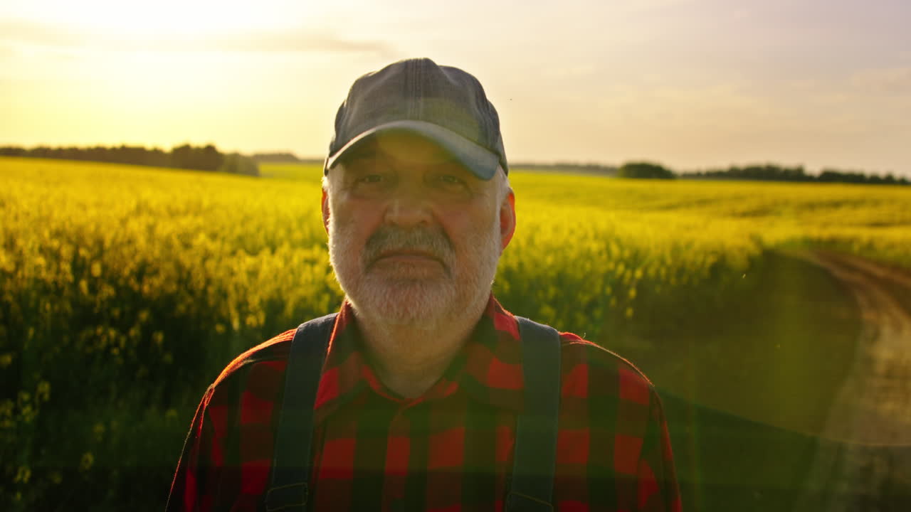 Portræt af ældre landmand, der står på gul rapsmark ved solnedgang