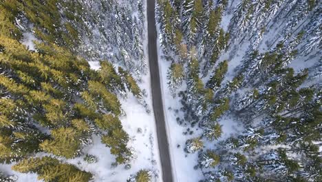 aerial dolly push over snowed road pine treetops forest winter snow wonderland