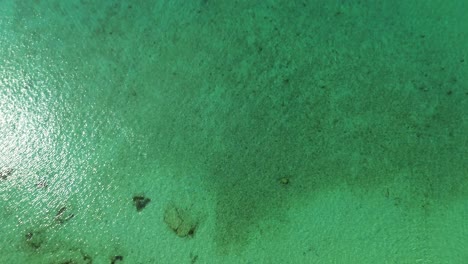 From-Above-to-Ground-Kalogria-Beach-Aerial-View-of-sandy-paralia-Kalogria-close-to-Nikiti-and-Elia-Nikitis-in-Halkidiki,-Greece