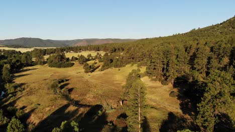 Un-Vuelo-Matutino-De-Drones-Sobre-Un-Valle-Verde