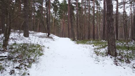 Snow-covered-hiking-trail-in-woods,-low-angle-dolly-in