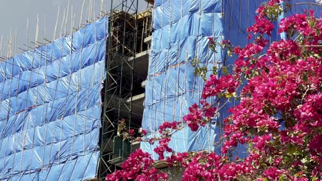 stick-and-bamboo-scaffolding-in-use-in-addis-ababa-ethiopia