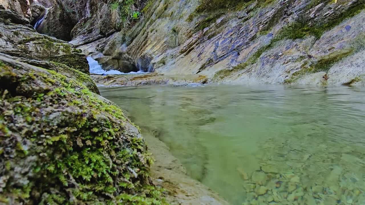 este metraje captura la esencia de la tranquilidad natural, invitando a los espectadores a sumergirse en el ambiente pacífico del bosque.