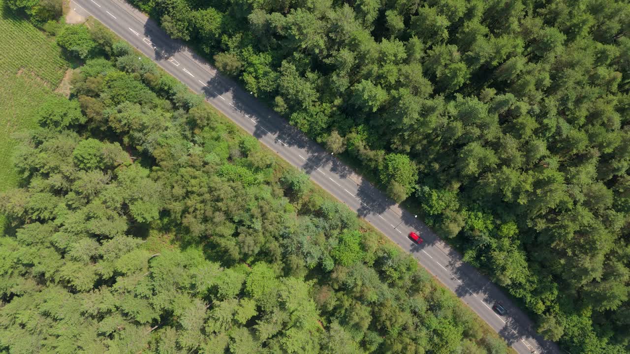 Top down aerial drone cinematic footage of verdant green Sherwood Forest with road cutting through middle and cars travelling near Nottingham England UK