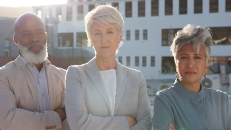 diversity, mature business team on rooftop