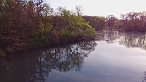 lake in the morning with light fog meadow and trees on the side, green belt, cologne, germany