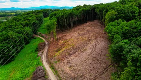 aerial 4k drone footage of environmental reality: rapid deforestation by human hands
