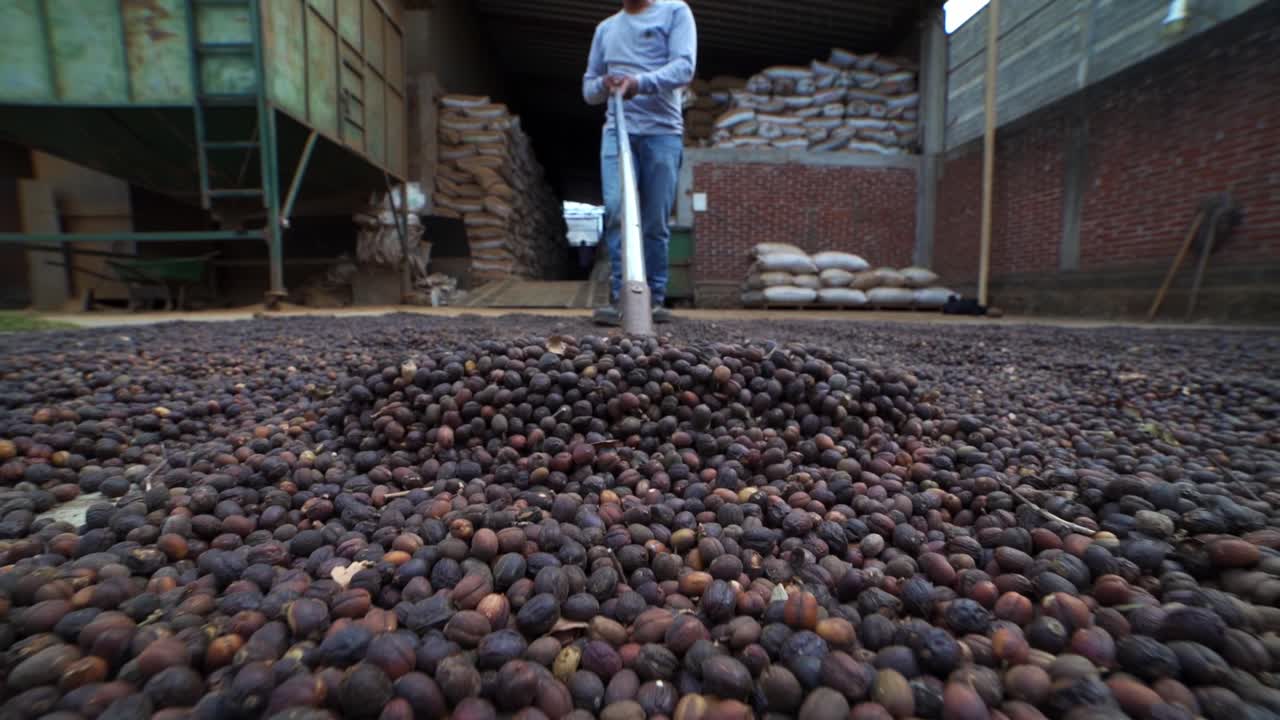 SLOW MOTION SHOT OF A MAN PREPARING COFFEE BEANS AT A CLOUDY DAY