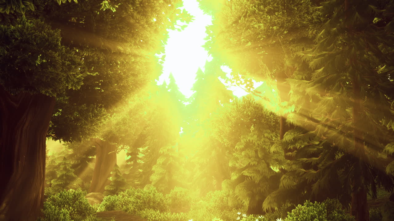 Dawn sunlight streams through a forest creating a magical aura