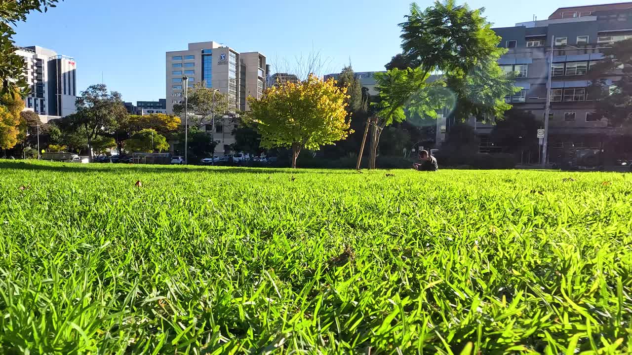 도시 풍경 배경 을 가진 정원 의 풀