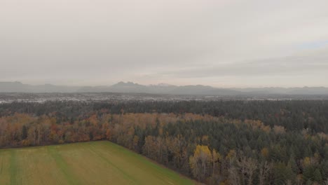 Drone-4K-Footage-of-agricultural-grassfields-farmland-near-a-thick-wooded-forest-in-a-rural-develop-environment-shot-on-a-cloudy-day-and-the-urban-city-in-the-background-langley-BC