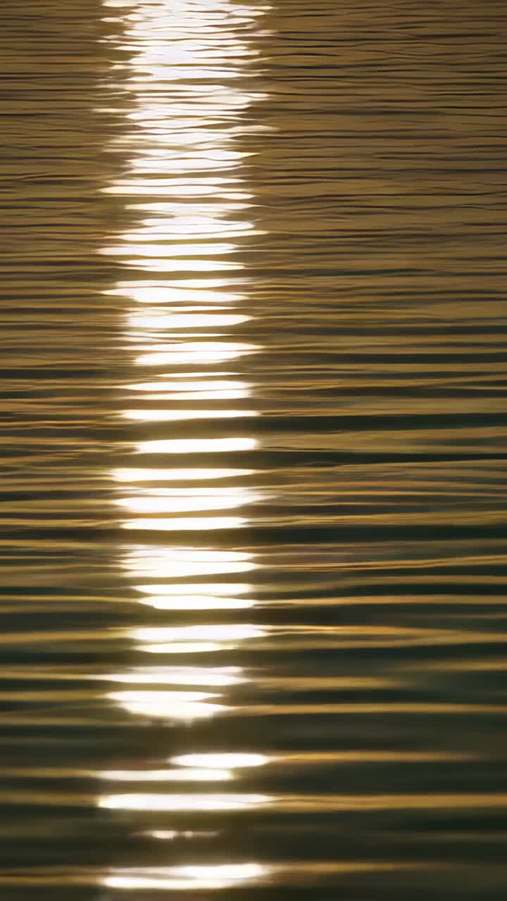 Video verticale: Sottile bagliore verticale del sole che brilla e si sposta sul lago a causa del vento, con le increspature che creano delle fasce.