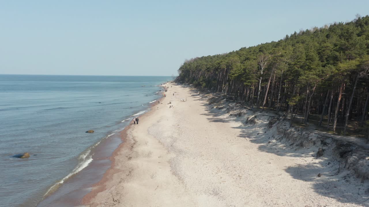 аннотация: люди наслаждаются солнечным днем на каменистом пляже у соснового леса в клайпеде
