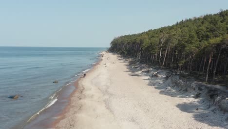 AERIAL:-People-Enjoying-Sunny-Day-on-a-Rocky-Beach-near-Pines-Forest-in-Klaipeda