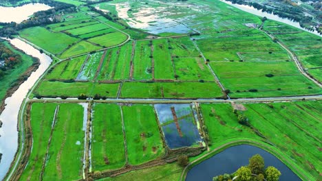 the drone is flying over meadow near the city of den bosch the netherlands aerial footage 4k