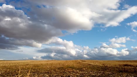 timelapse video footage of clouds over fields