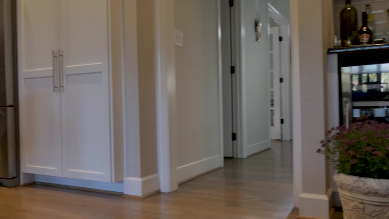 niño de 8 a 10 años persiguiendo a un perro con un oso de peluche en la boca