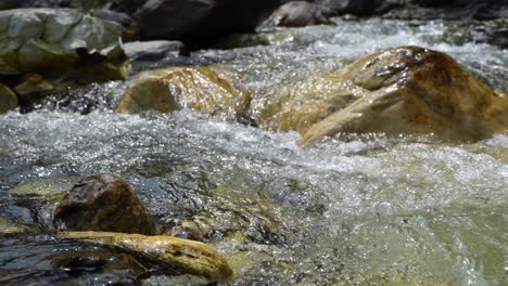 water is flowing through a mountain torrential river.