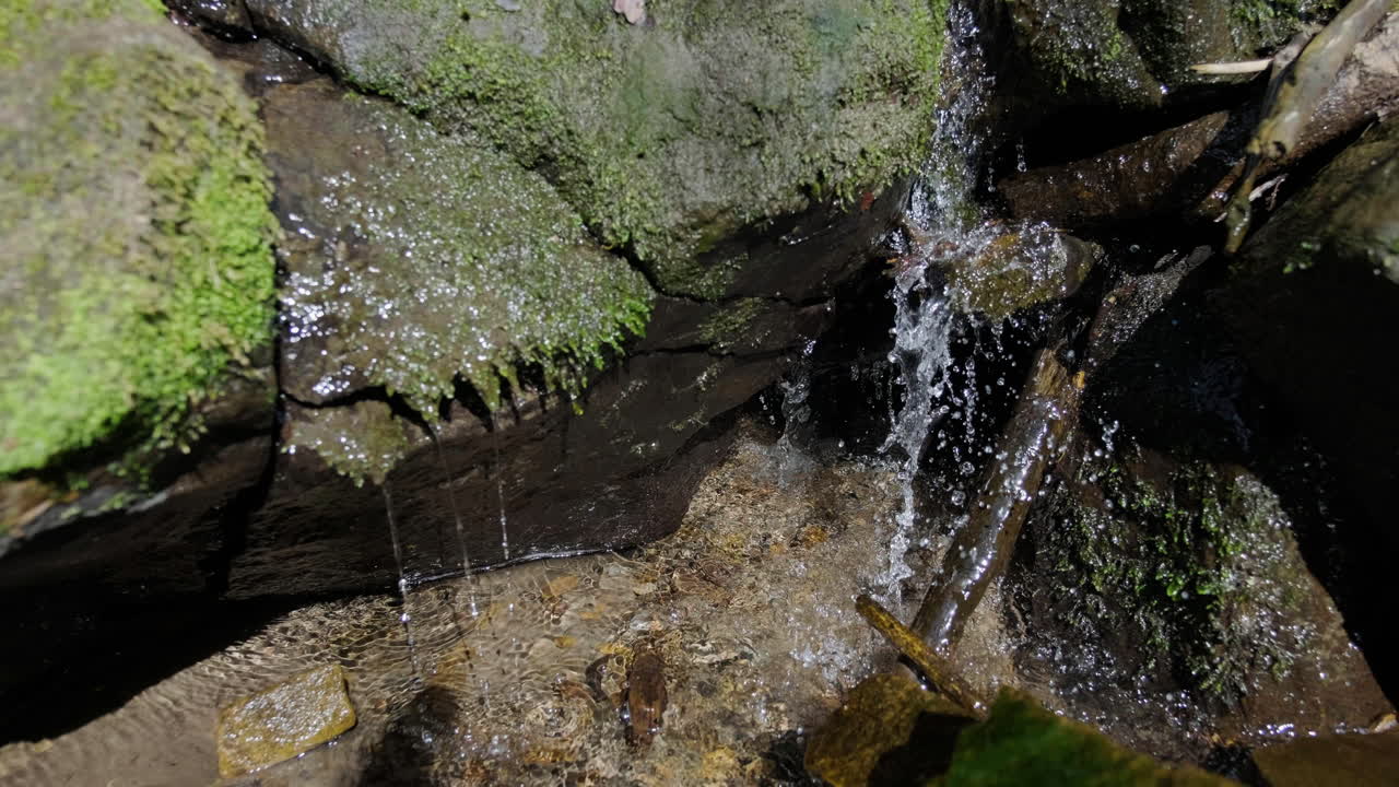 River flowing over moss stones in deep woods among stones, greenery and trees in the sunshine