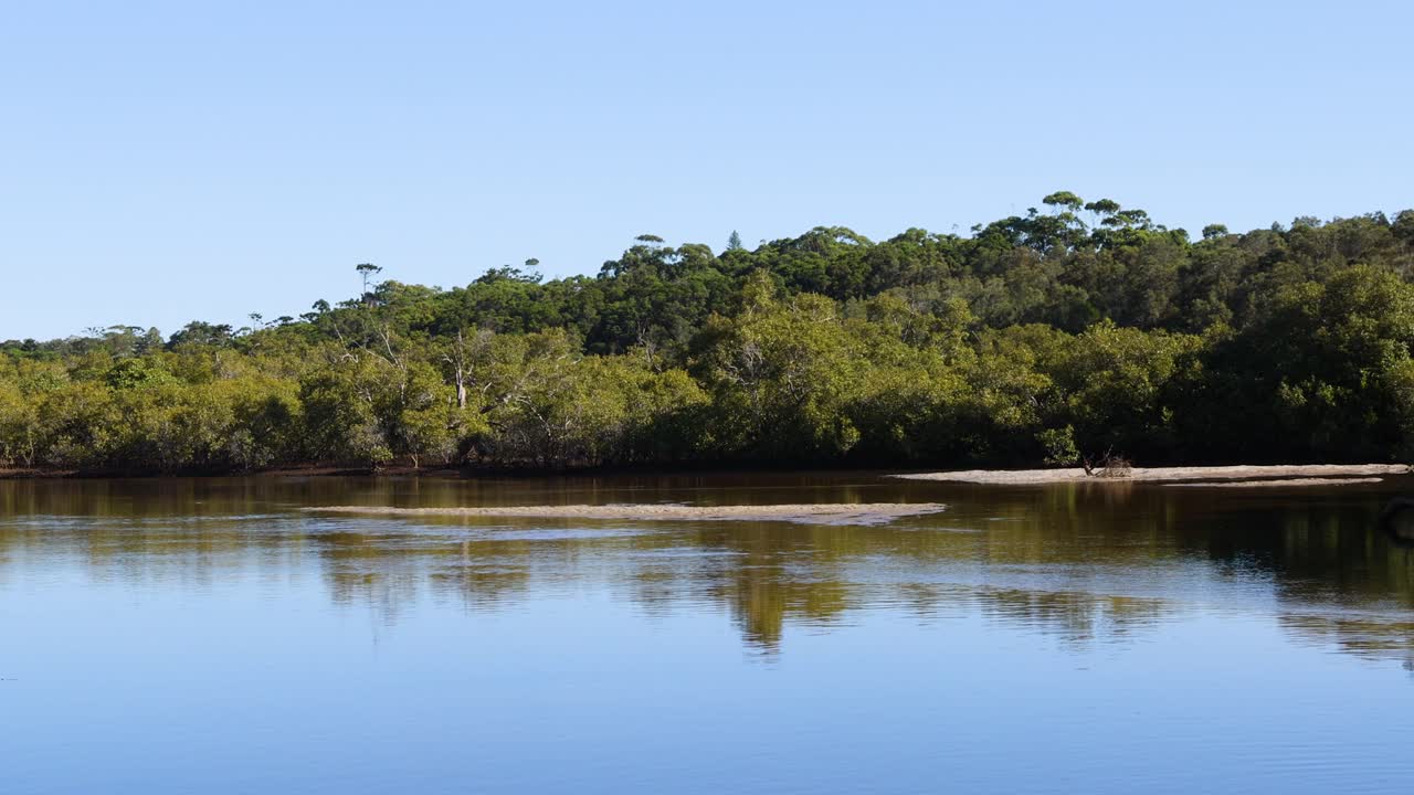 푸른 나무 들 을 반영 하는 평온 한 물