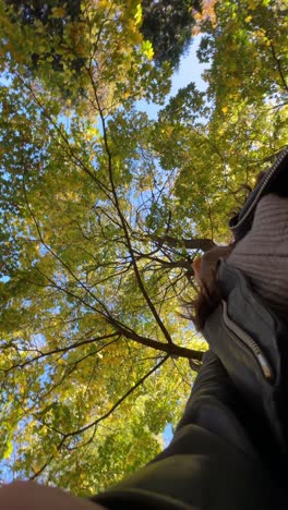 woman under autumn trees