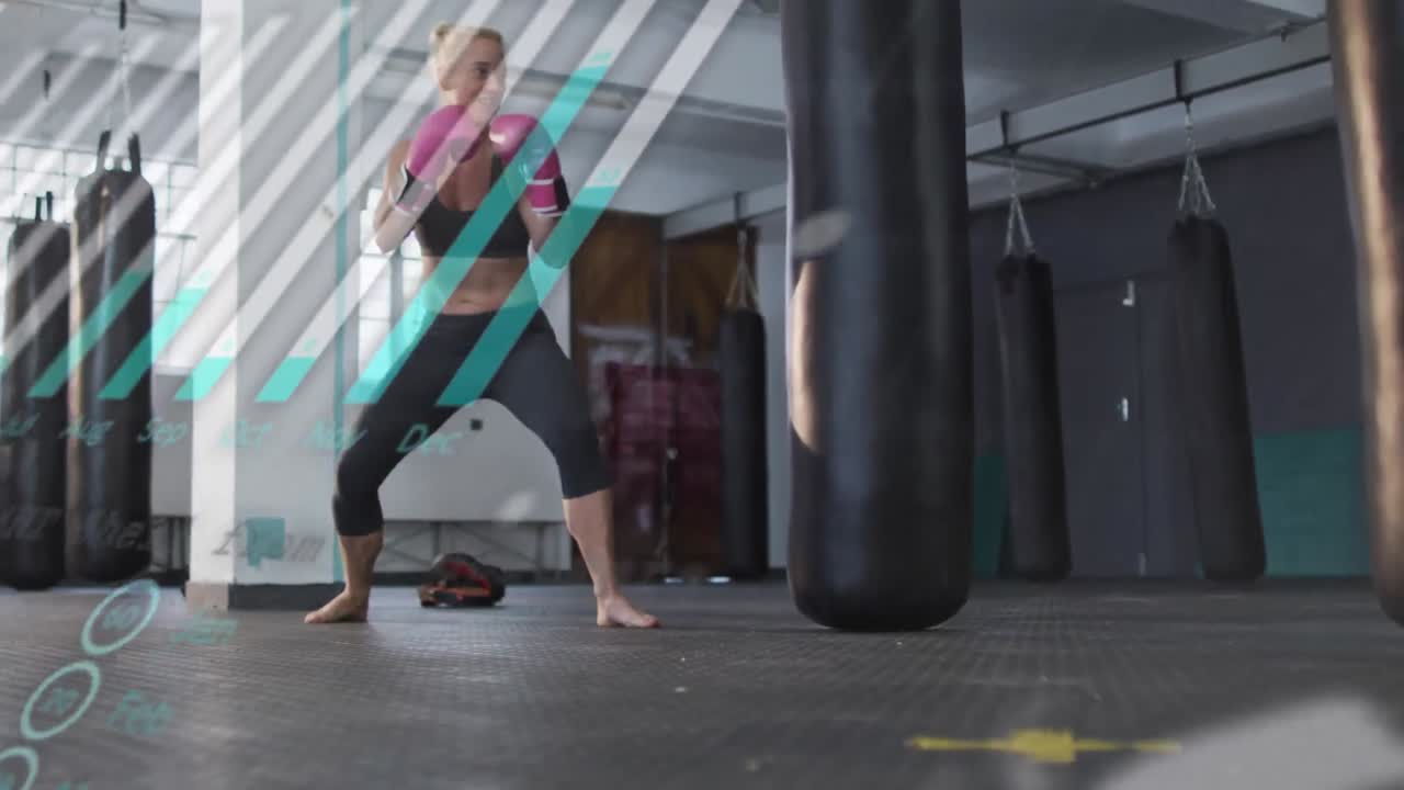 카우카스 여성 권투에 대한 그래프 및 데이터 처리의 애니메이션