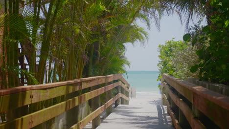 following a beach path toward a florida beach