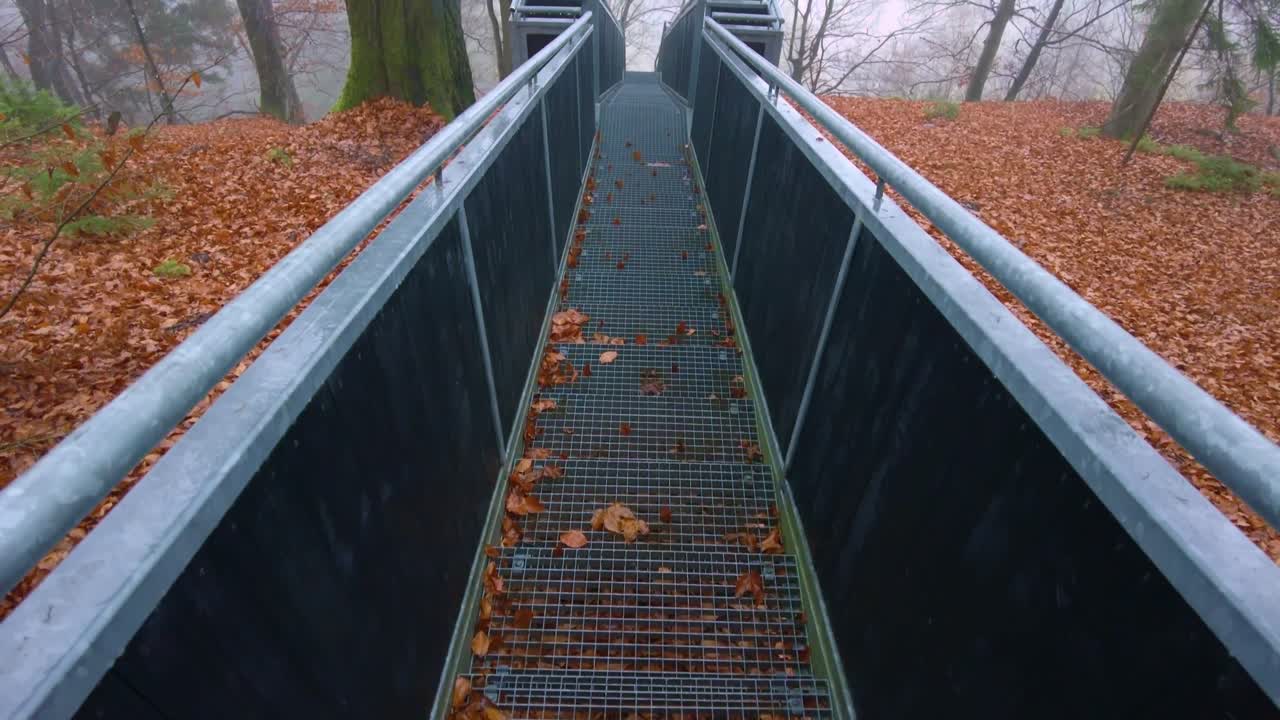 puente peatonal de hierro en medio del bosque lleno de hojas caídas otoño