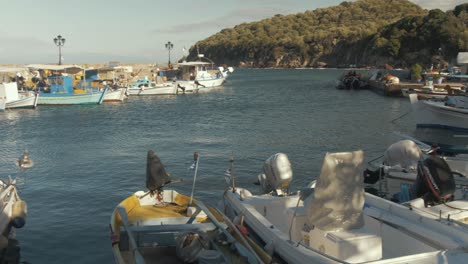 Small-harbor-packed-with-fishing-boats-in-Skala-Sikamineas