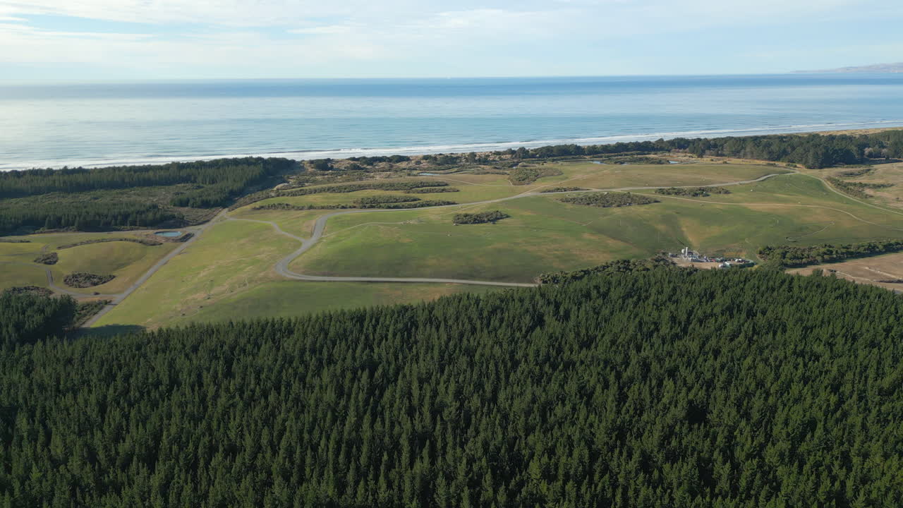 Pine Forest And Clear Land Near The Waimairi Beach Coastline Christchurch New Zealand