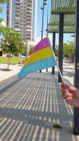 pansexual pride colors waving in sunlight