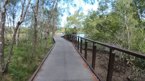 pathway through nature leading to a river