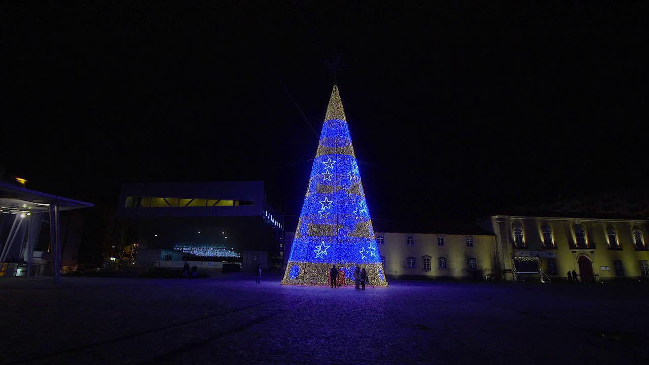 카스텔로 브랑코 시티의 밤에 불이 켜진 크리스마스 트리