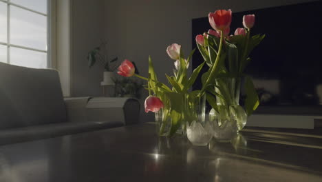 soft sunlight filters through a window, illuminating tulips in vases on a table, timelapse