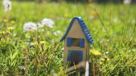 scene with toy house in the grass representing eco-home