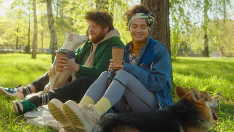 couple with dogs enjoying coffee in a sunny park
