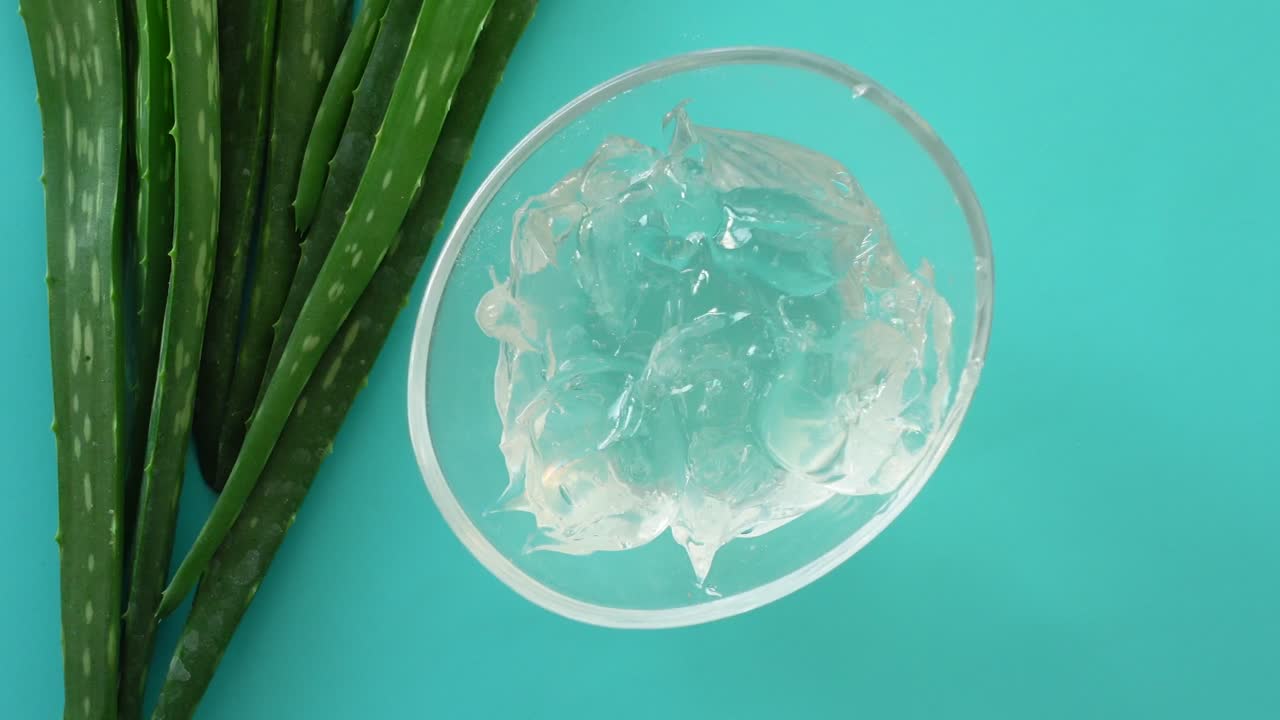 gel de aloe vera en un cuenco con hojas