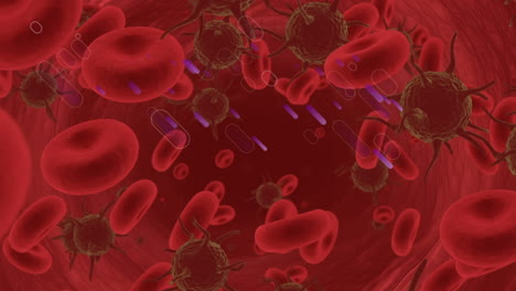 Animation of moving cells over red background
