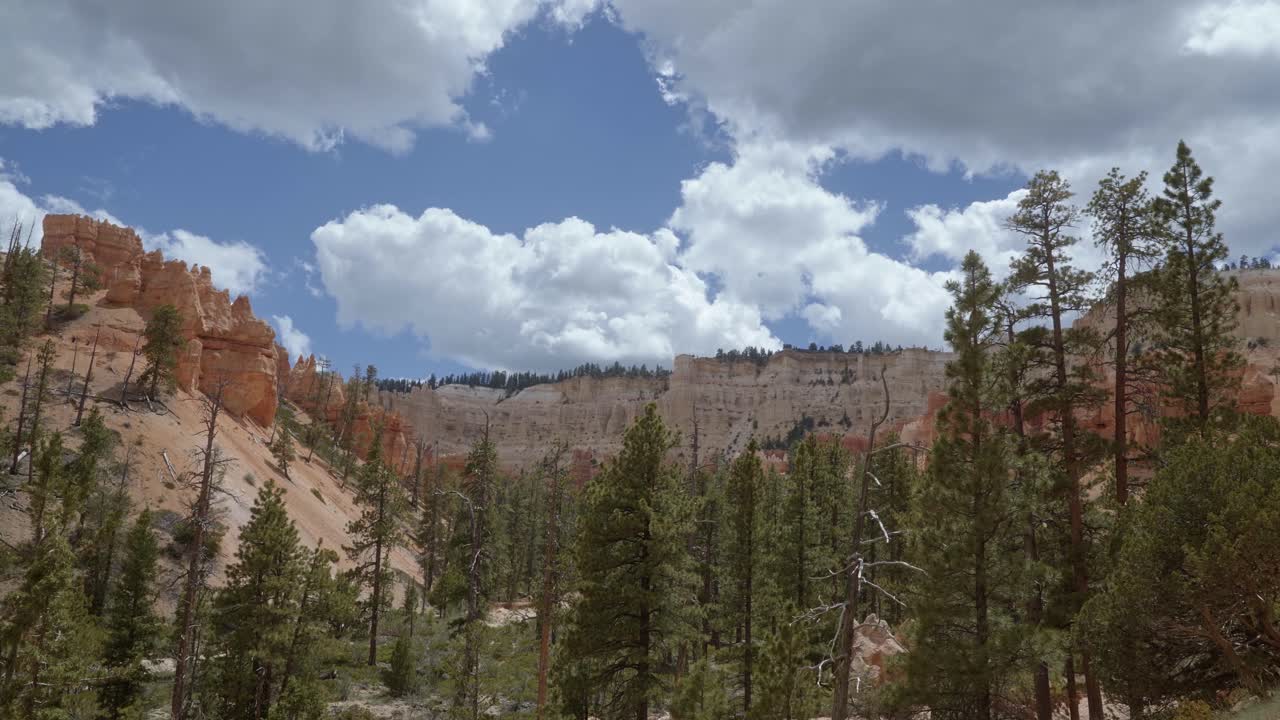 Beautiful landscape shot from a valley of trees looking up at large white and orange cliffs in the desert in Southern Utah with hoodoo and other formations due to erosion on a warm summer day