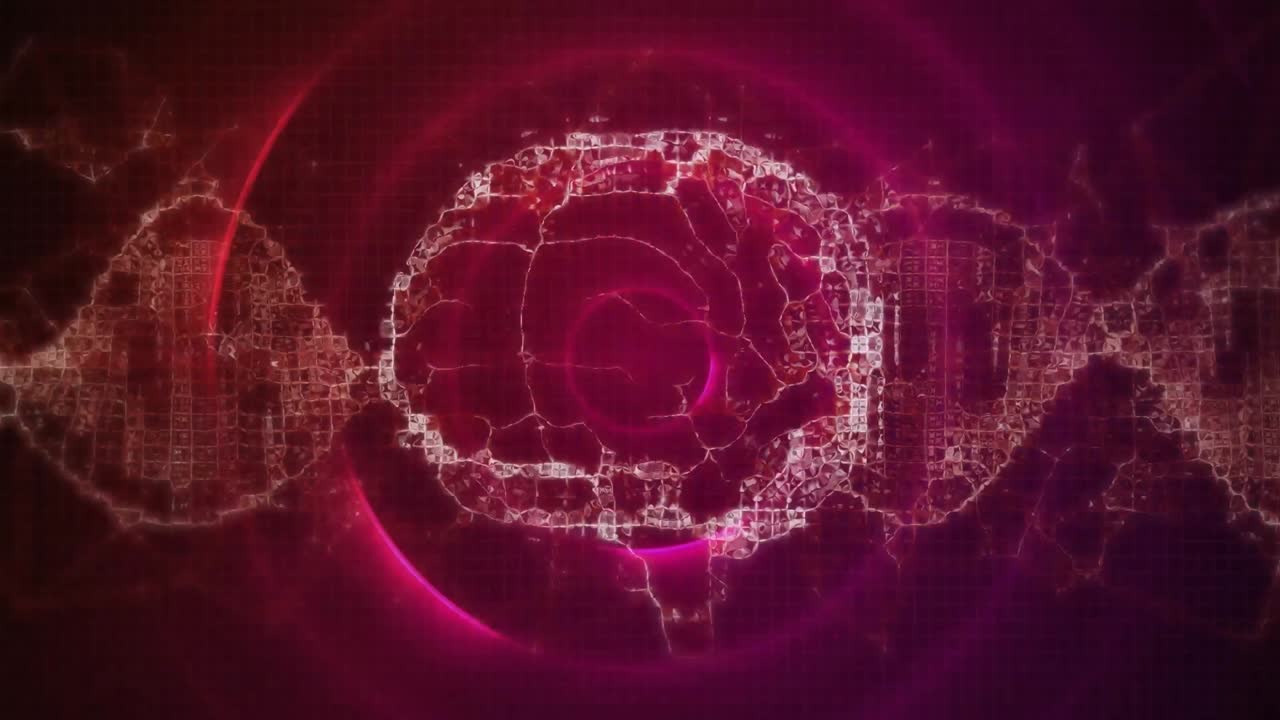 animación del cerebro digital sobre senderos y círculos rosados