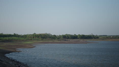 dry lake shoreline scenery