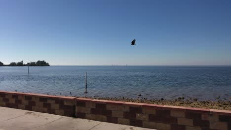 Vista-Zumbante-Del-Golfo-De-México-Cerca-De-Hudson-Beach,-Florida