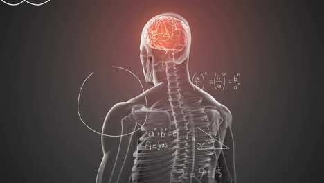 animación de ecuaciones matemáticas sobre modelo humano digital en fondo negro