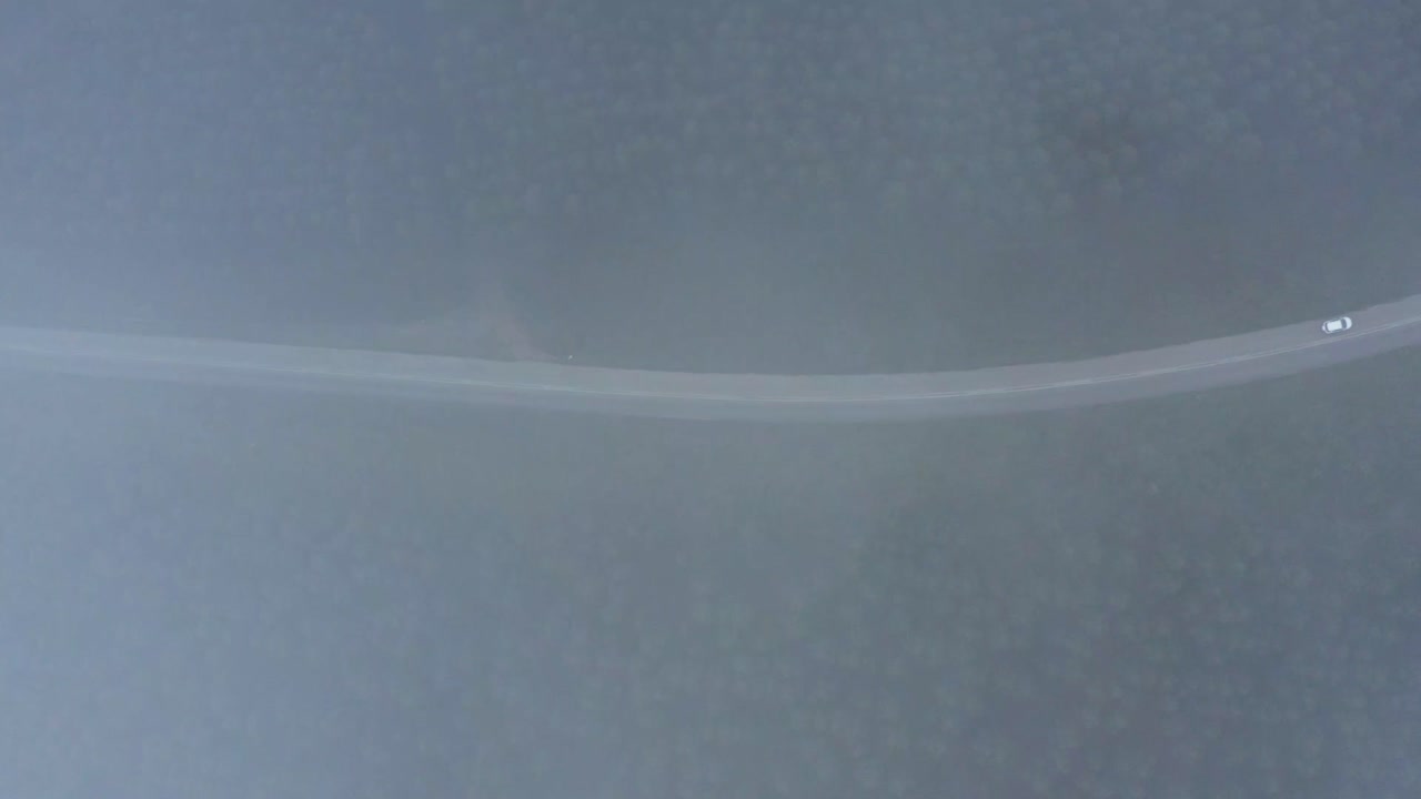 연기가 자욱한 숲을 달리는 자동차