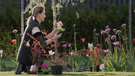 woman gardener planting flowers in the garden