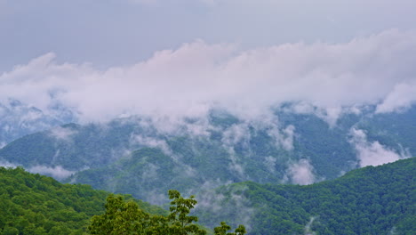 the smokies swallowed by fog, seen from above