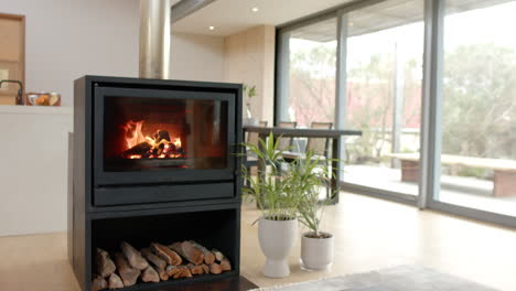cozy fireplace warming modern living room with large windows and houseplants, copy space